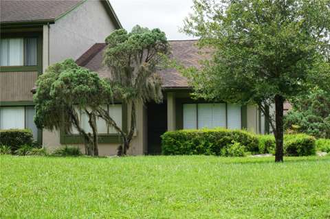 7807 Amberlea Court #7807, home for sale in Tampa 33637