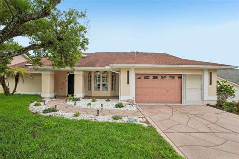 1260 Masada Lane, home for sale in Spring Hill 34608