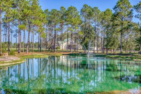 1650 Bear Bay Flats Rd Road, home for sale in Laurel Hill 32567