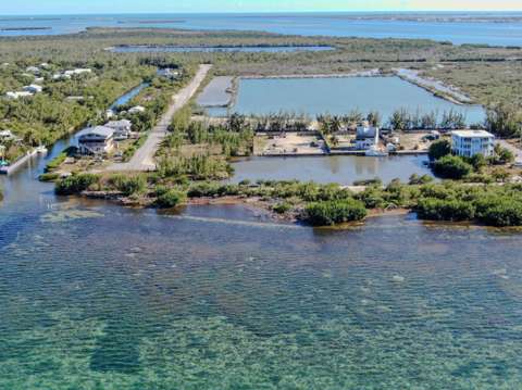 32029 Marginella Drive, luxury home for sale in Big Pine Key