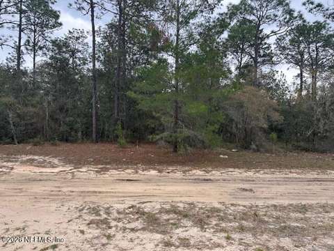 218 & 220 Duval Avenue, home for sale in Florahome 32140