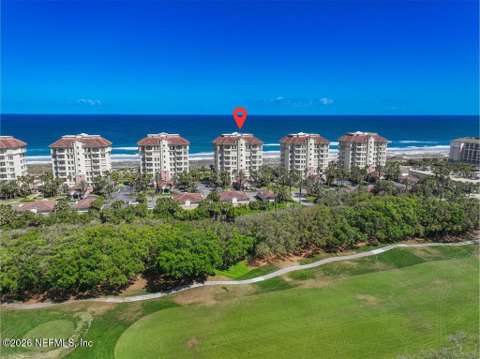 4670 Carlton Dunes Drive #3201, luxury home for sale in Fernandina Beach