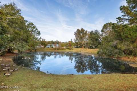 101 Baytree Court, starter home for sale in Kingsland