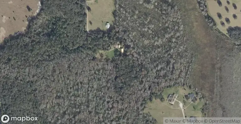 Curryville Estates 5 Acre Dev in Chuluota