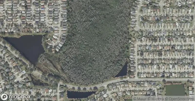 Deerfield CommonHomes for Sale in Orlando, FL