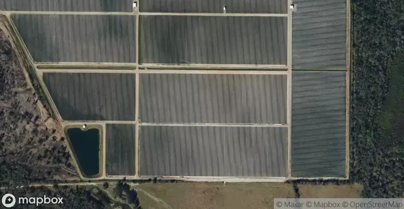 dg farmsHomes for Sale in Wimauma, FL