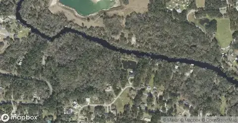Edwards Pond Homes for Sale in Middleburg, FL