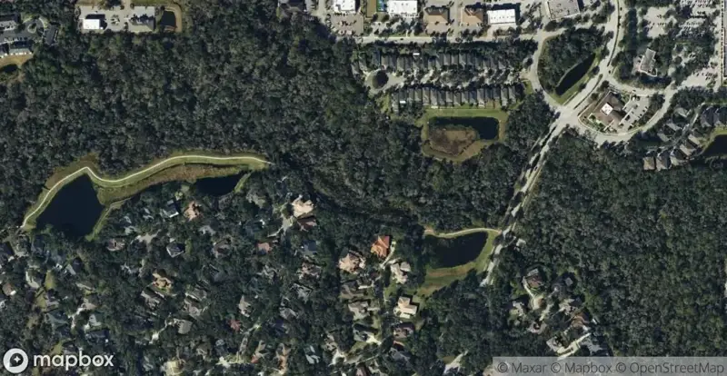 Fiishhawk Ranch WestHomes for Sale in Lithia, FL