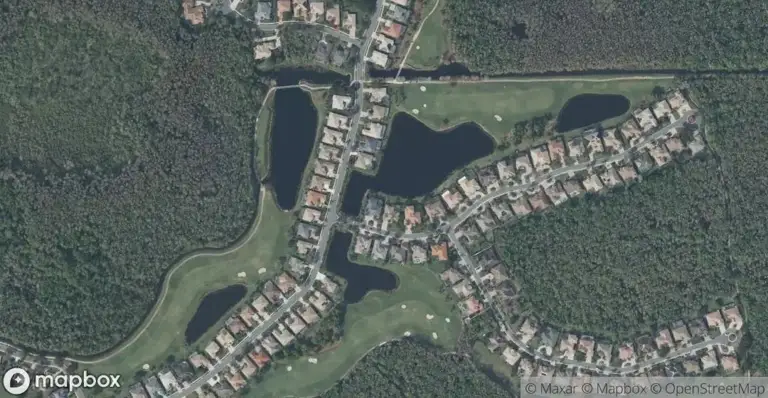 Aerial view of Heritage Palms Estates