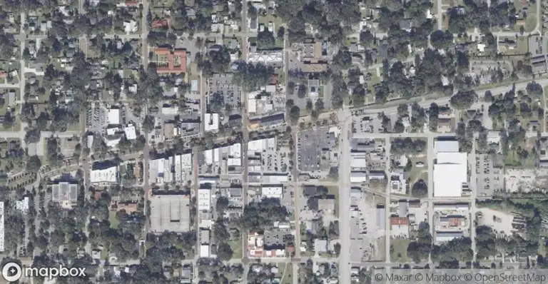 Heritage Plant Street in Winter Garden