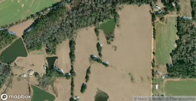 Lake LilliquinHomes for Sale in Thomas County, GA