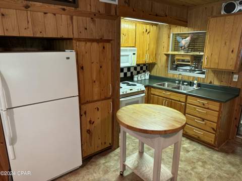 199 N Duck Avenue, Wewahitchka FL - photo 20 of 61