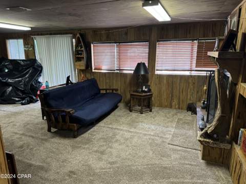 199 N Duck Avenue, Wewahitchka FL - photo 7 of 61