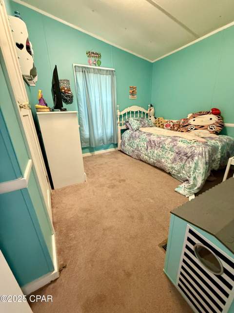 738 Bryant Landing Road, Wewahitchka FL - photo 11 of 22
