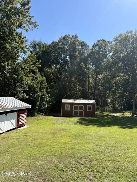 738 Bryant Landing Road, Wewahitchka FL - photo 15 of 22