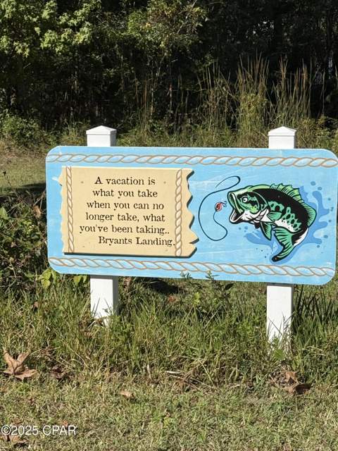 738 Bryant Landing Road, Wewahitchka FL - photo 18 of 22