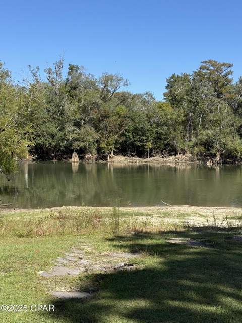 738 Bryant Landing Road, Wewahitchka FL - photo 20 of 22
