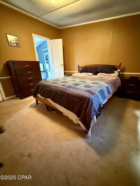 738 Bryant Landing Road, Wewahitchka FL - photo 6 of 22