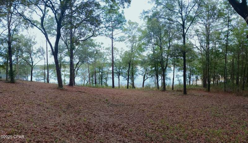 3 bedroom ManufacturedHome at 3515 Quail Ridge Drive, Leisure Lakes, Chipley — photo 4