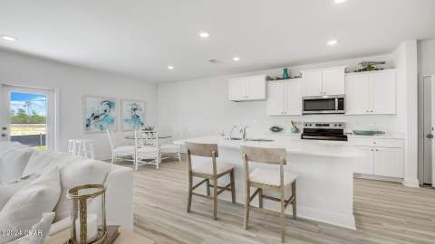 203 Salt Creek Lane, Mexico Beach FL - photo 23 of 42