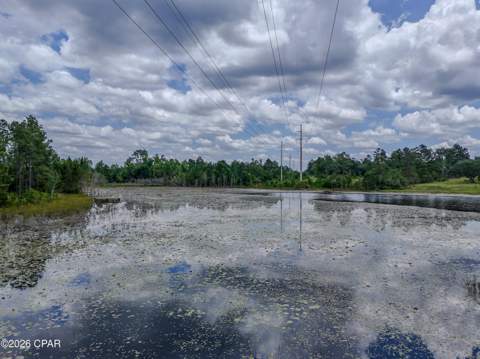 422 Mcduff Drive, Alford FL - photo 19 of 37
