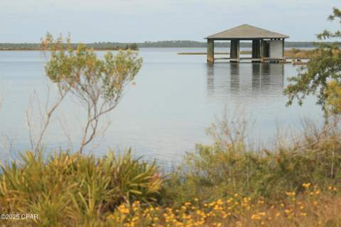 1081 Blazing Star Street Lot 495 - Largo Plan, Panama City FL - photo 10 of 95