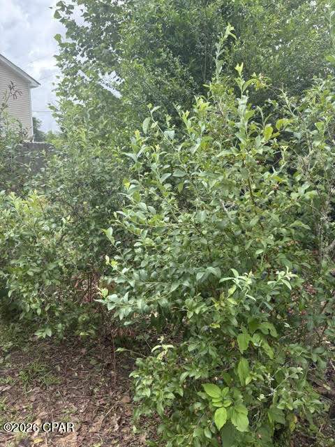 15021 SE Blue Bream Drive, Blountstown FL - photo 12 of 49