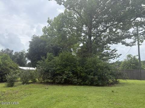 15021 SE Blue Bream Drive, Blountstown FL - photo 14 of 49