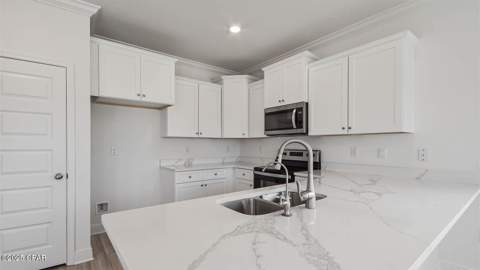 190 Needle Rush Drive, Port St Joe FL - photo 9 of 61