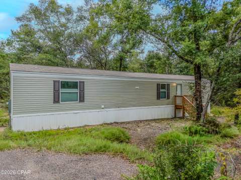 4597 Spotted Horse Lane, Chipley FL - photo 6 of 29