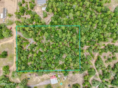 4597 Spotted Horse Lane, Chipley FL - photo 8 of 29