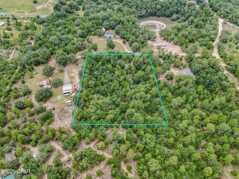 4597 Spotted Horse Lane, Chipley FL - photo 9 of 29