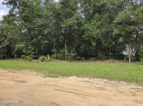 3445 Cardinal Place, Chipley FL - photo 21 of 59