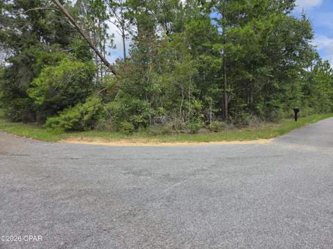 3445 Cardinal Place, Chipley FL - photo 24 of 59