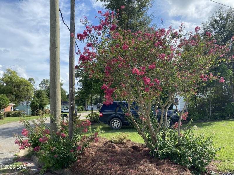2 bedroom SingleFamilyResidence at 3011 2nd Street, North Highlands, Marianna — photo 2
