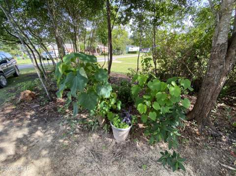 3011 2nd Street, Marianna FL - photo 8 of 50