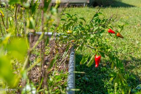 1002 Colorado Avenue, Lynn Haven FL - photo 14 of 50