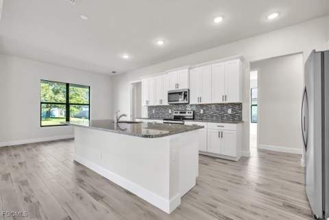 459 NE 2nd Pl, Cape Coral FL - photo 11 of 38