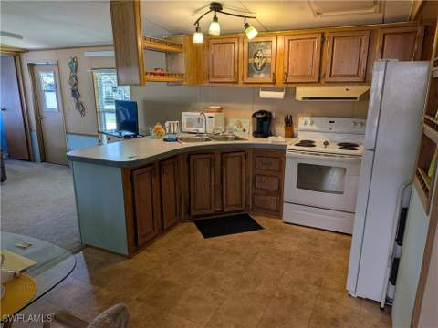 10750 Wales Loop, Bonita Springs FL - photo 7 of 29