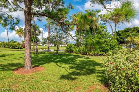 1006 Pine Isle Ln 1006, Naples FL - photo 16 of 16