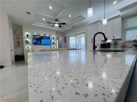 528 Jacaranda Pkwy E, Cape Coral FL - photo 15 of 50