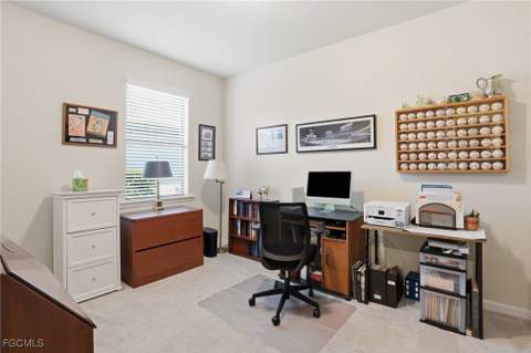 16083 Mistflower Dr, Alva FL - photo 22 of 50