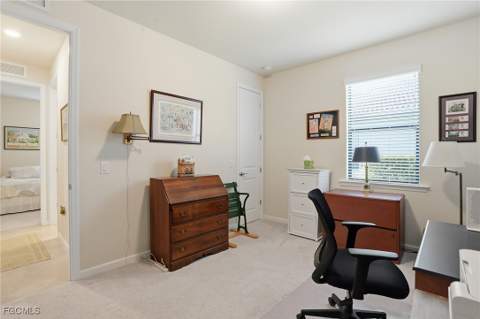 16083 Mistflower Dr, Alva FL - photo 23 of 50
