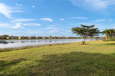 15259 Yellow Wood Dr, Alva FL - photo 23 of 39