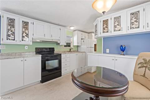 5756 Pink Panther Dr, Fort Myers FL - photo 12 of 41