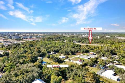 14630 Smokey Hollow Ln, North Fort Myers FL - photo 6 of 49