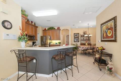 10616 Vicenza Ct, Fort Myers FL - photo 10 of 45