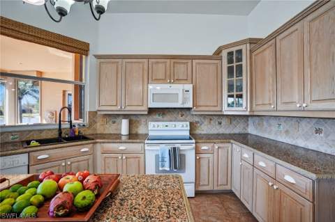 14806 Fripp Island Ct, Naples FL - photo 14 of 43