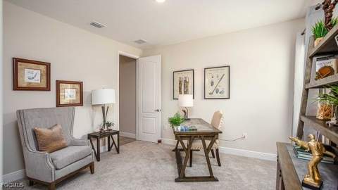 4725 24th Ave SE, Naples FL - photo 17 of 19