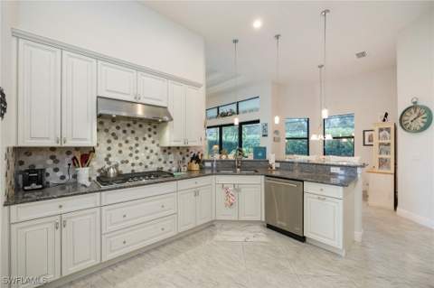 23016 Sanabria Loop, Bonita Springs FL - photo 10 of 37